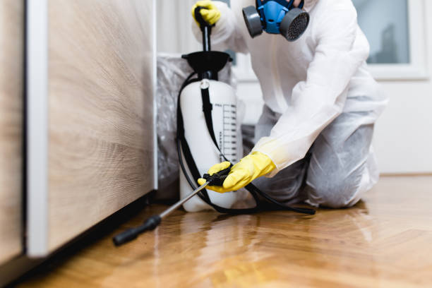 Best Residential Pest Control  in Arden Hills, MN