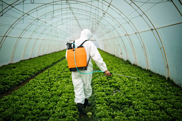 Reliable Arden Hills, MN Pest Control Solutions