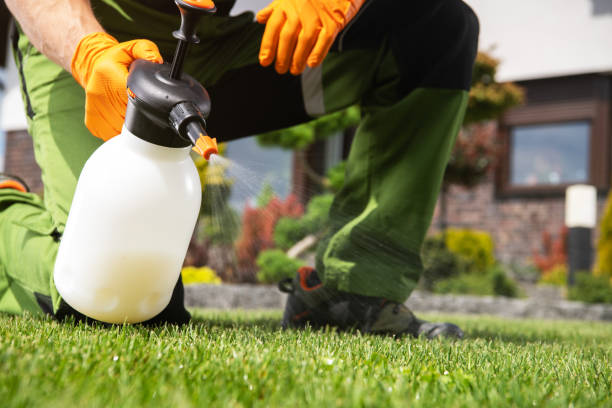 Best Local Pest Control Services  in Arden Hills, MN
