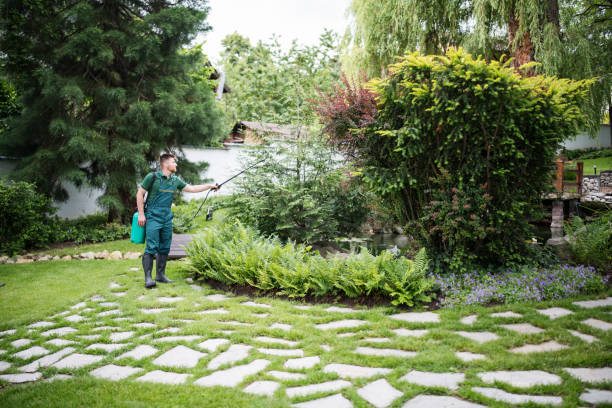 Professional Pest Control in Arden Hills, MN